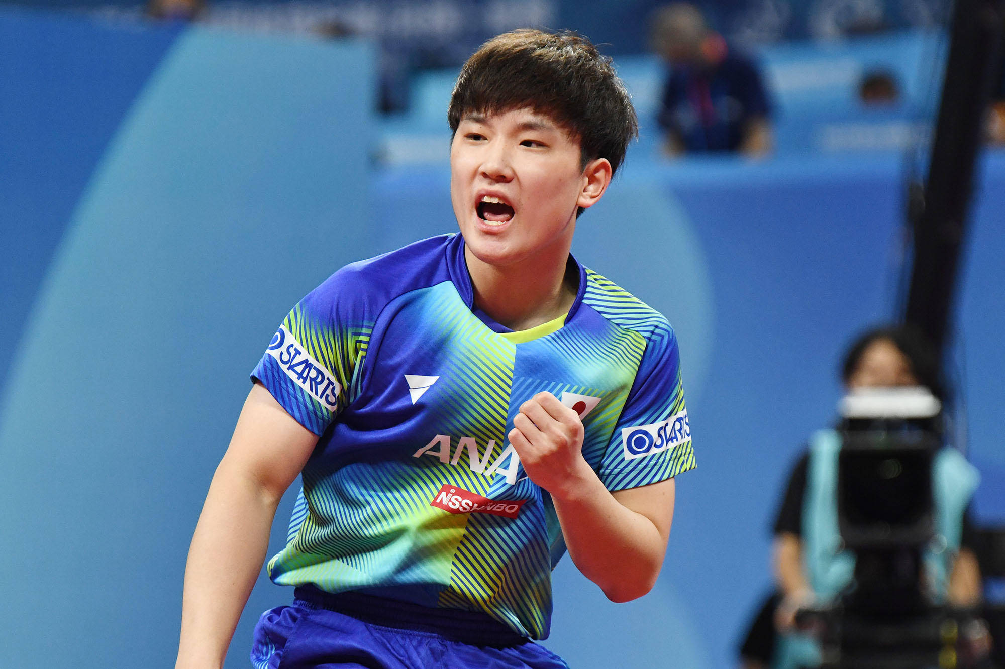 这种坚定的 这种坚定的